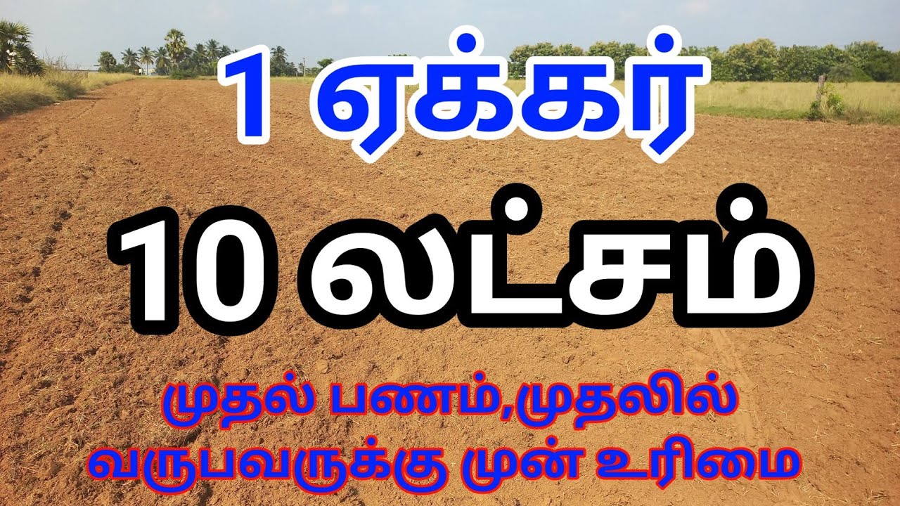 1ஏக்கர் புஞ்சை நிலம் விற்பனை | 1 Acre RedSoil Land Sale🌴🚜#agriculture #lowbudget #trending#actor#kbr