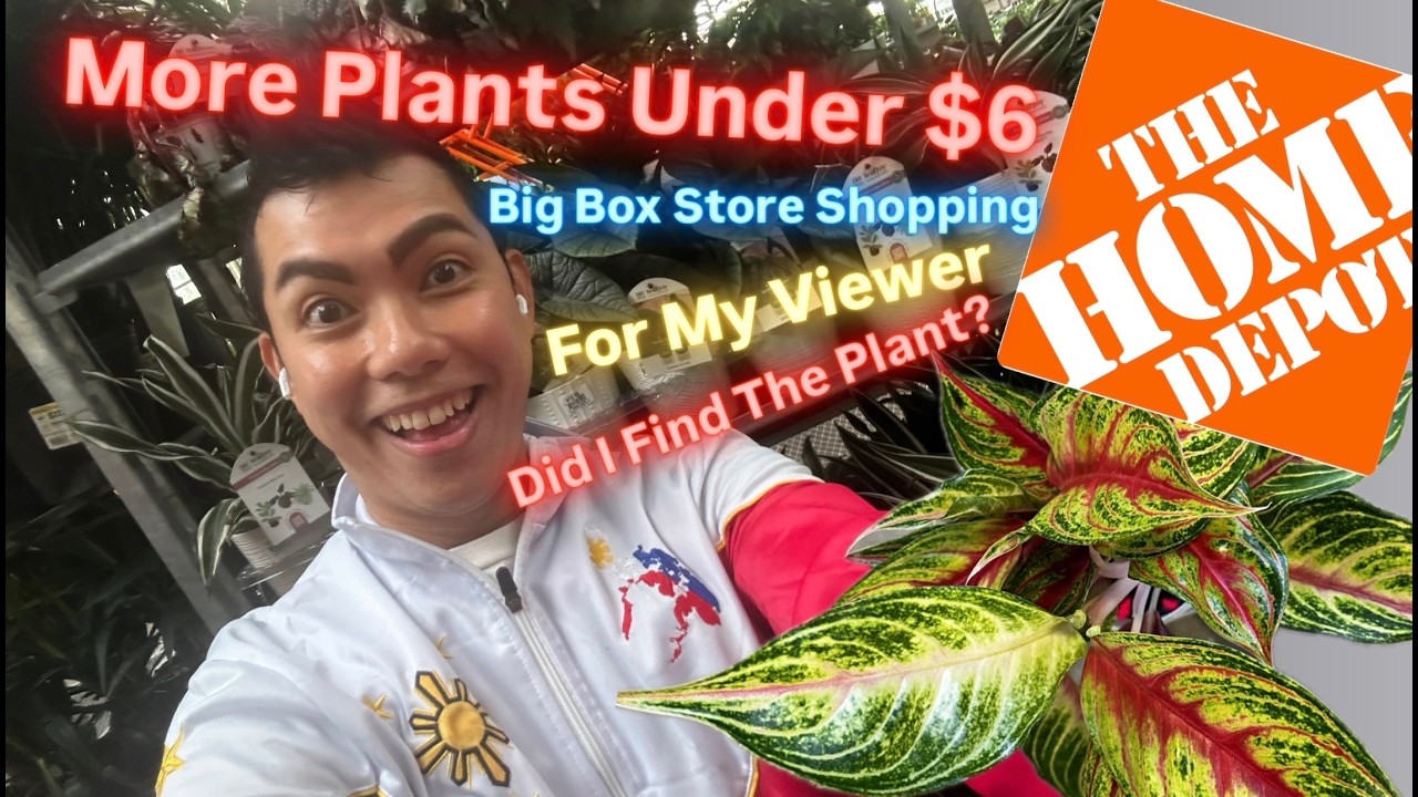 Spring 2026 Plant Shopping on a Budget Massive Price Cut Plants Under $6 Home Depot New Houseplants