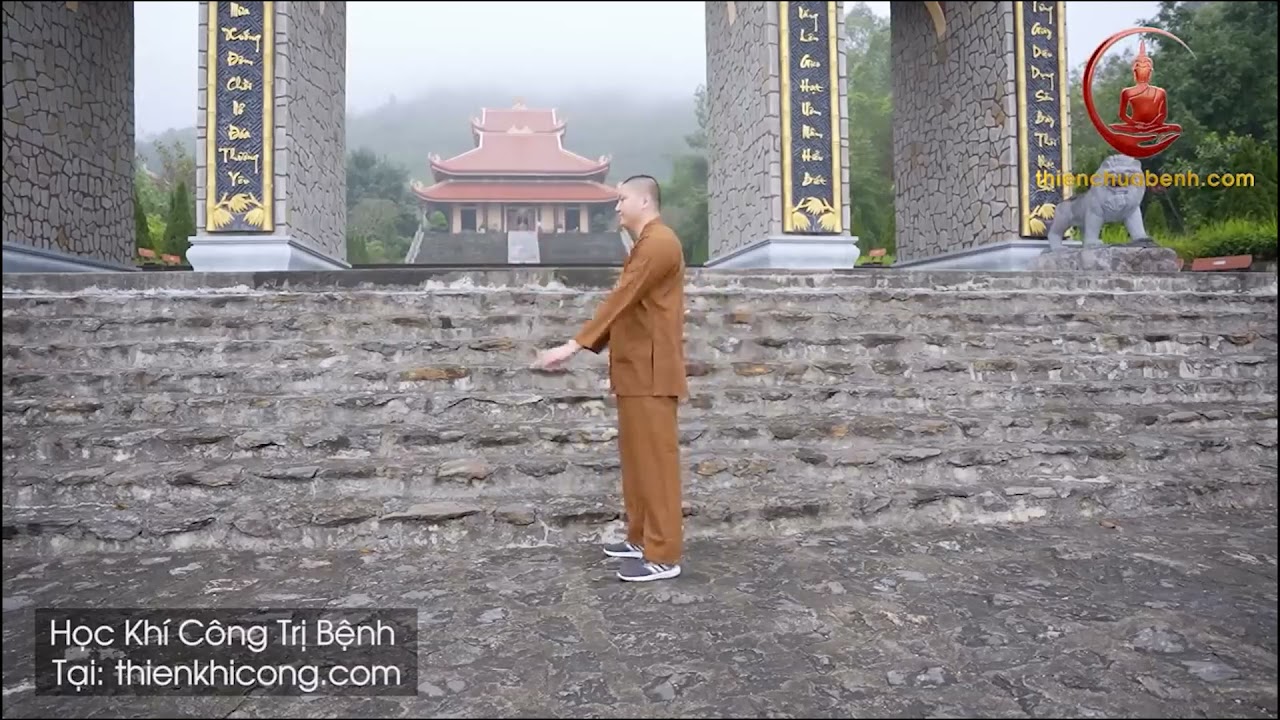 B&agrave;i Vẩy Tay K&igrave; Diệu: Trị Bệnh Gan, Thận, Mất Ngủ, Dạ D&agrave;y