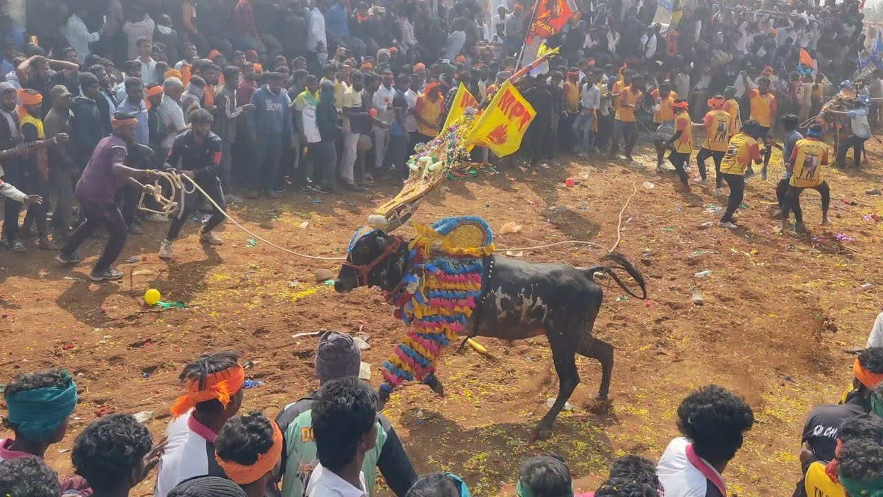 U. PURAM 2026  அத்து பண்டிகை  FESTIVAL VIDEO PART-1 @msbull8651 