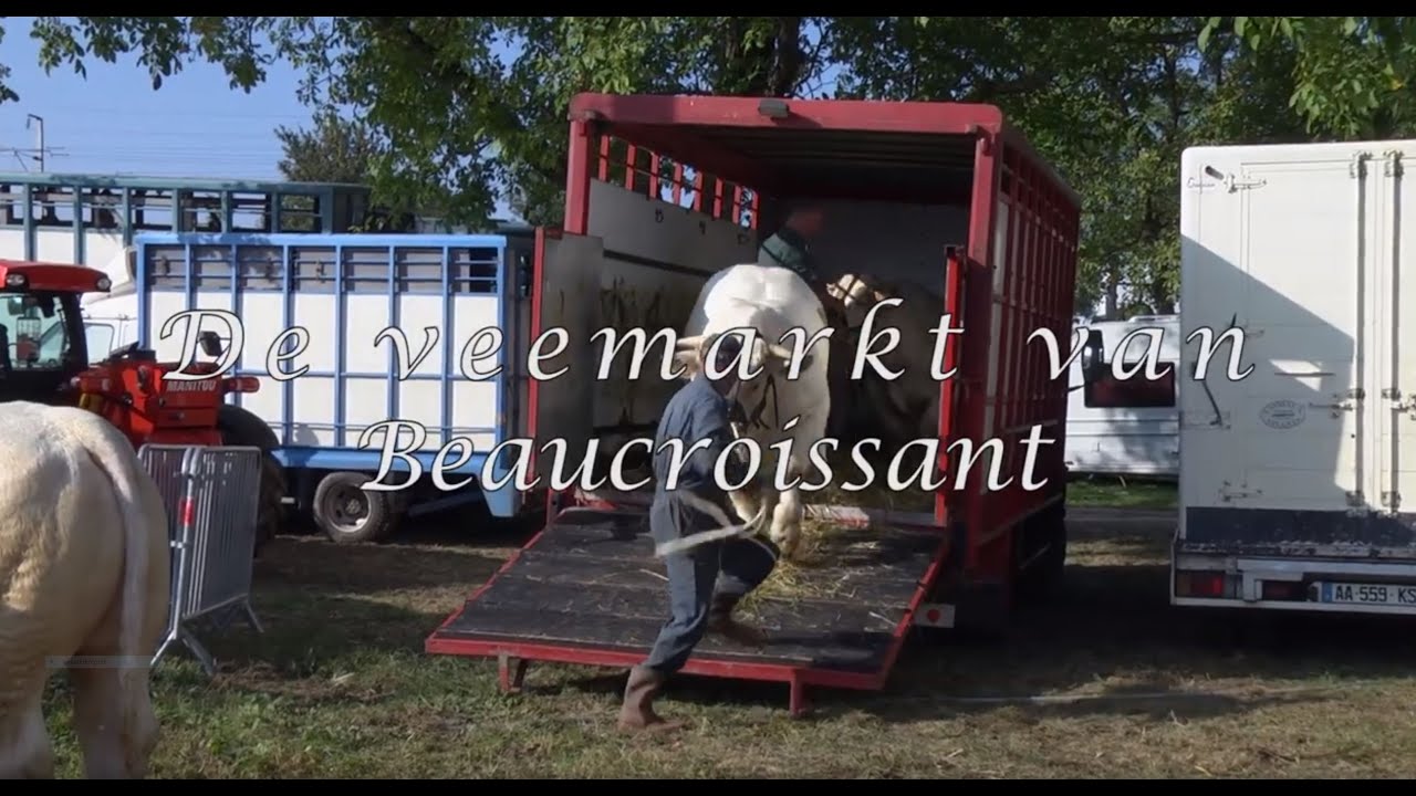 De veemarkt van Beaucroissant
