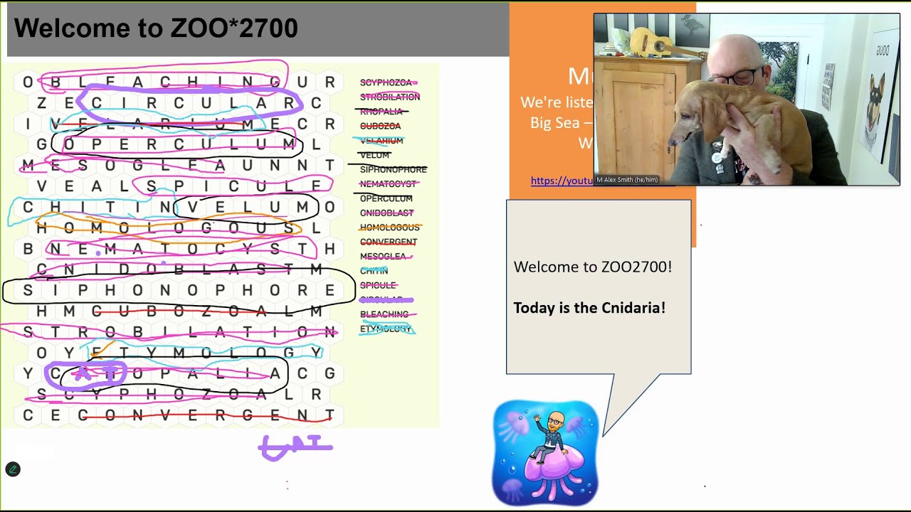 ZOO*2700 W26 - Lecture 09 - Cnidaria