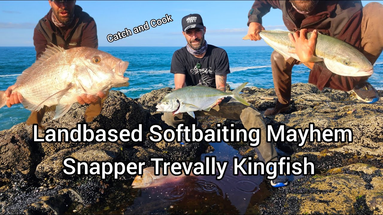 Landbased Softbaiting Carnage from the Bluff on the 90 [with Quin the Kai Machine]