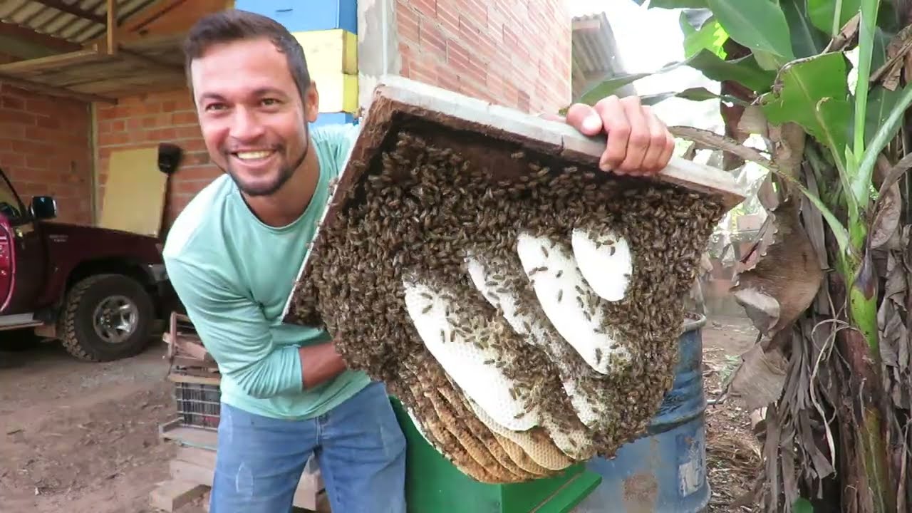 Depois de Muinto Tempo 😍🐝