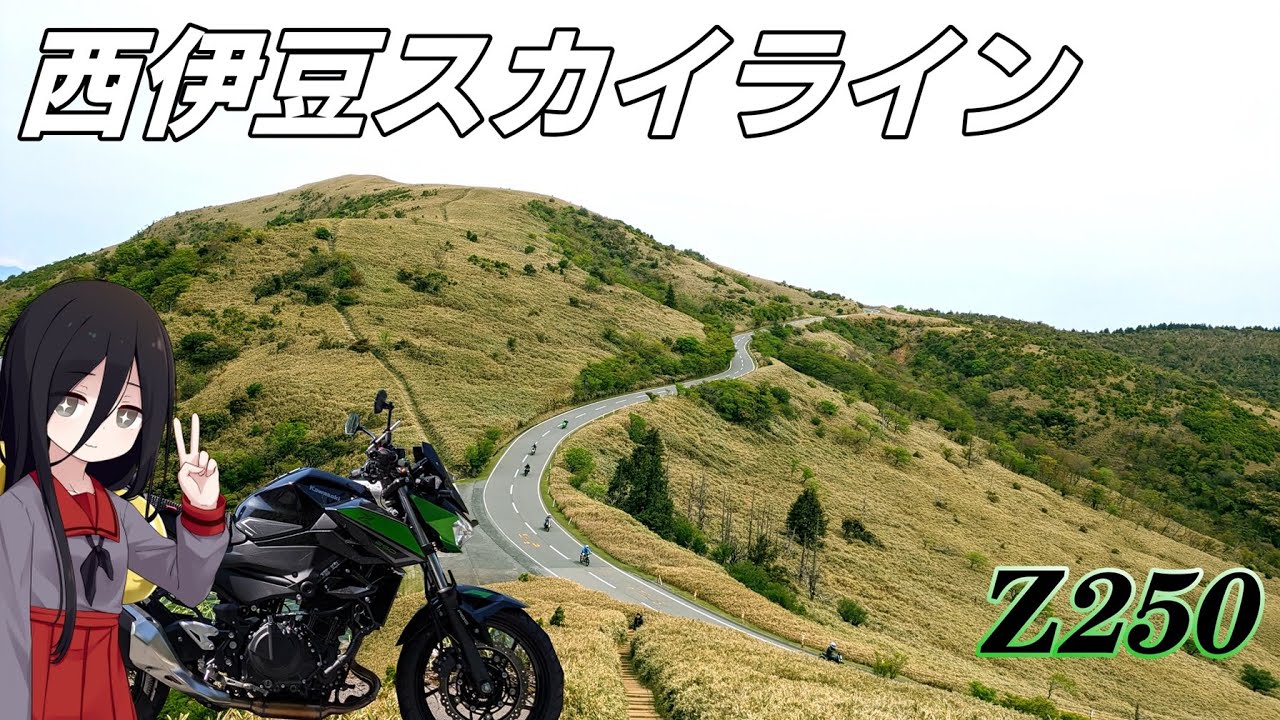 【Z250 '23】伊豆ツーリング 【ソロツーリング】