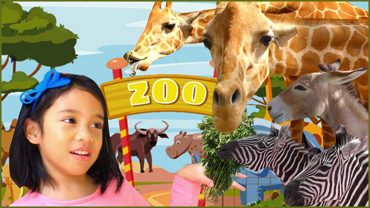 Ira and Bella Feed Giant Zoo Animals Elephants, Giraffes, Zebras | Zoo Adventure for Kids and Family