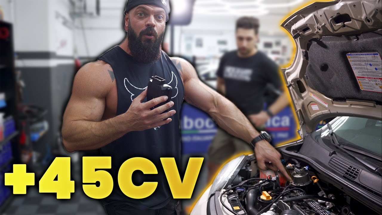 ELABORO la PANDA di Cherry