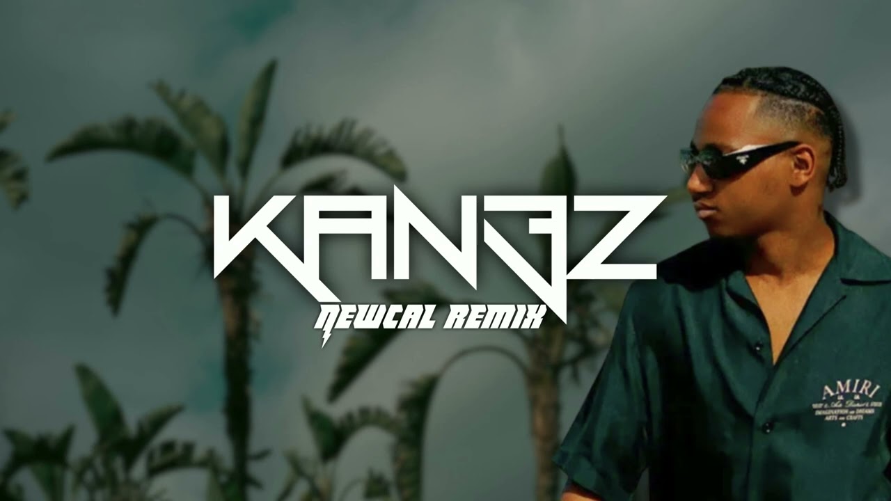 BOUSS x KAN3Z - Un vœu [REGGAE REMIX]