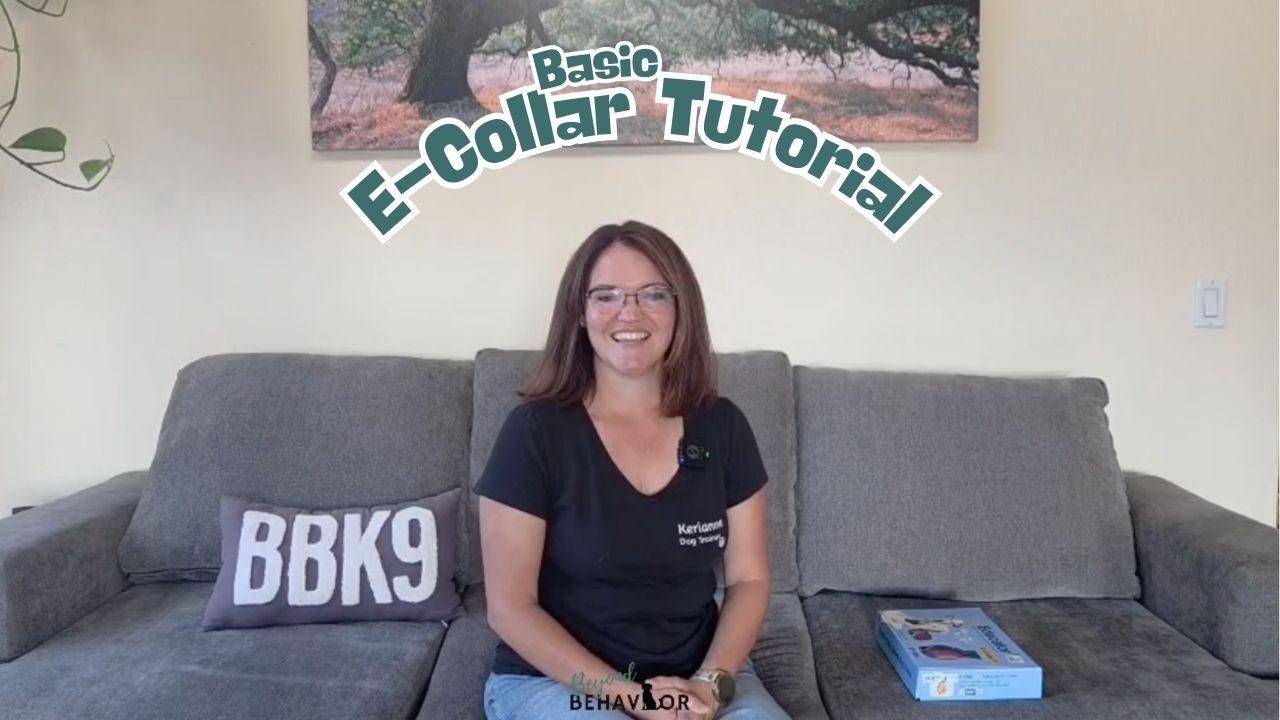 Basic E-Collar Tutorial