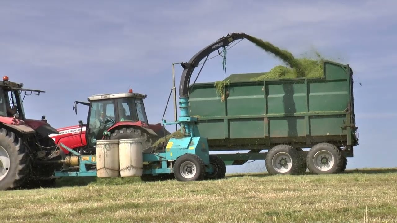 Wallbanks 1st cut silage 23 Massey's with Reco mengele Drag 29th May 2023
