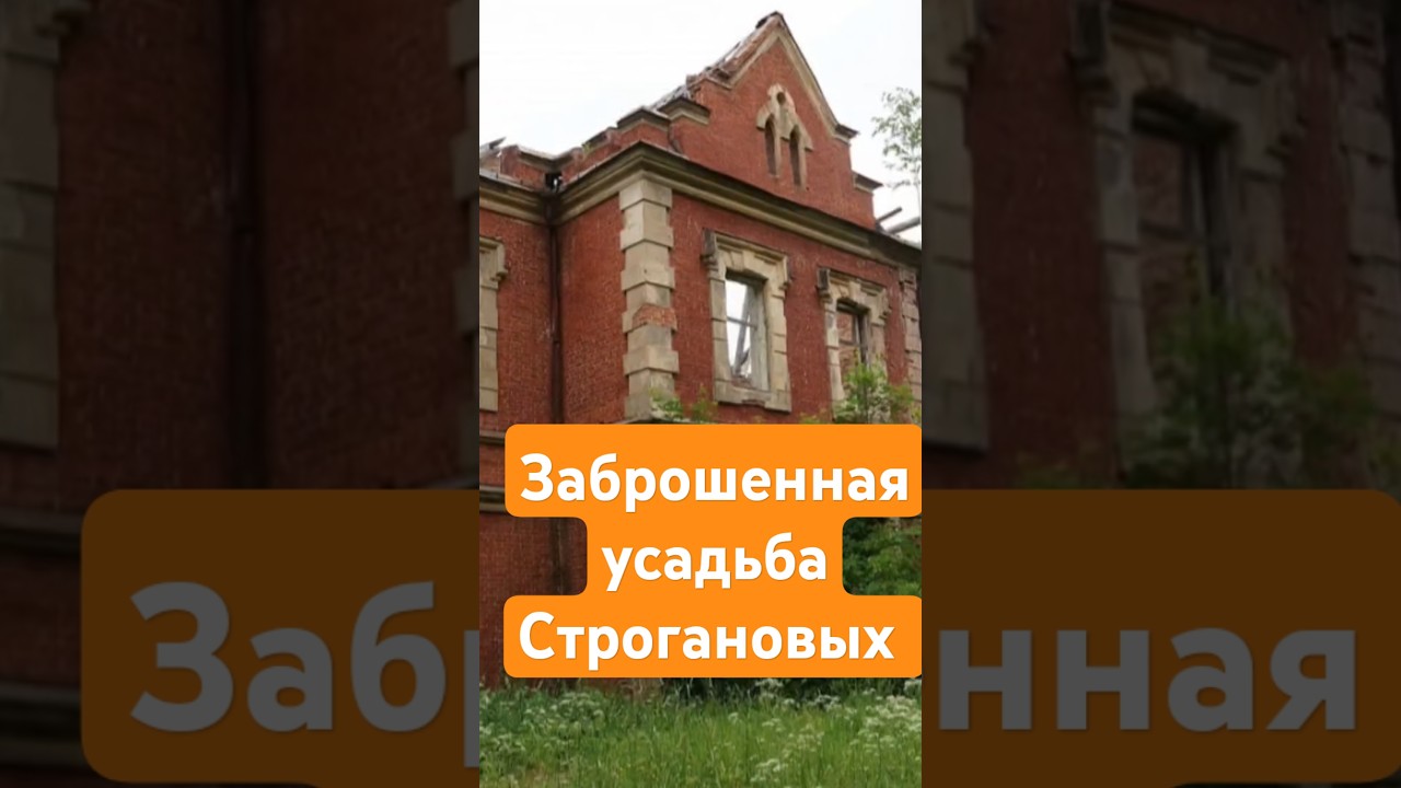 Усадьба Строгановых заброшена и разрушена #заброшка #сталкер #vanlive