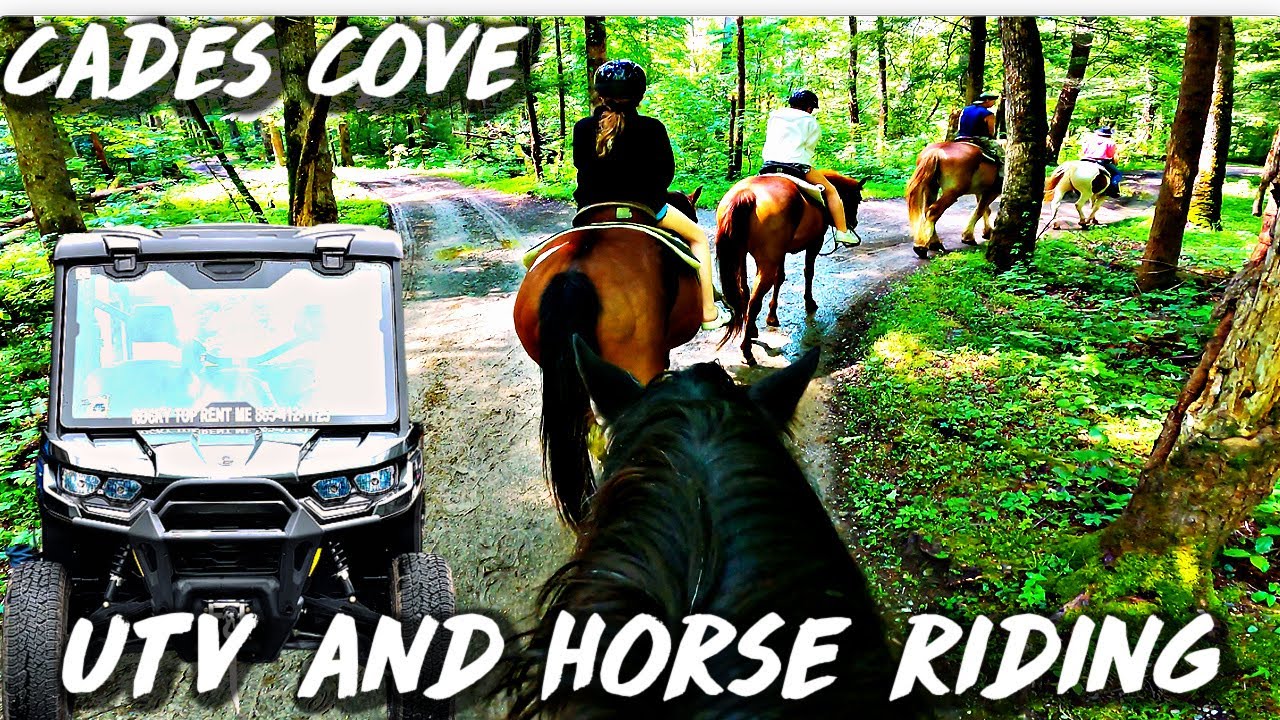UTV RIDE TO CADES COVE W/ HORSEBACK RIDING