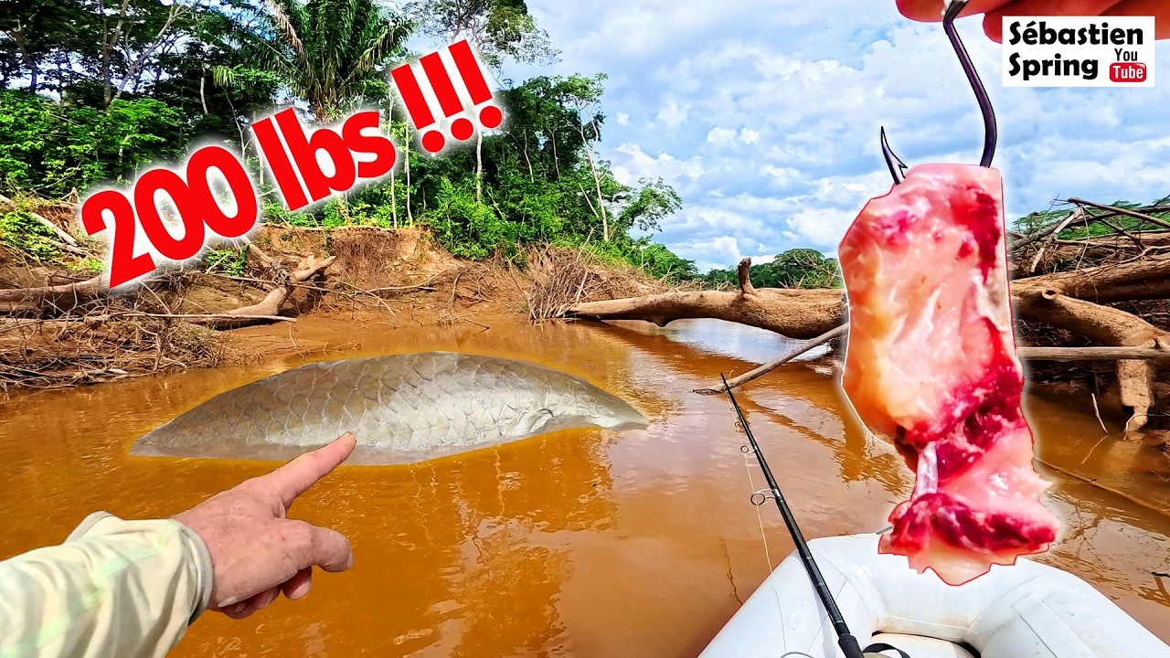 24h en AMAZONIE pour pêcher le PLUS GROS POISSON de ma VIE !!!