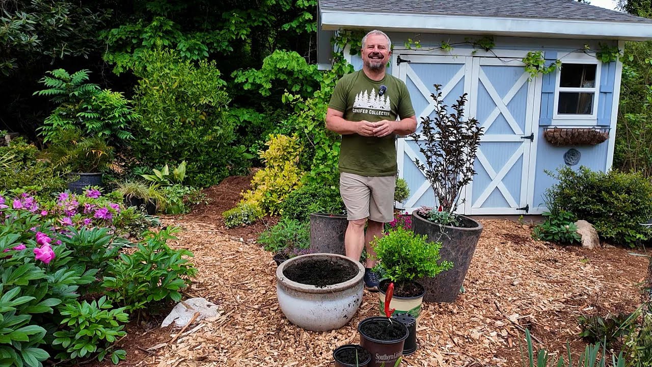 Fun Plants, New Containers, and Gardening Odd Jobs