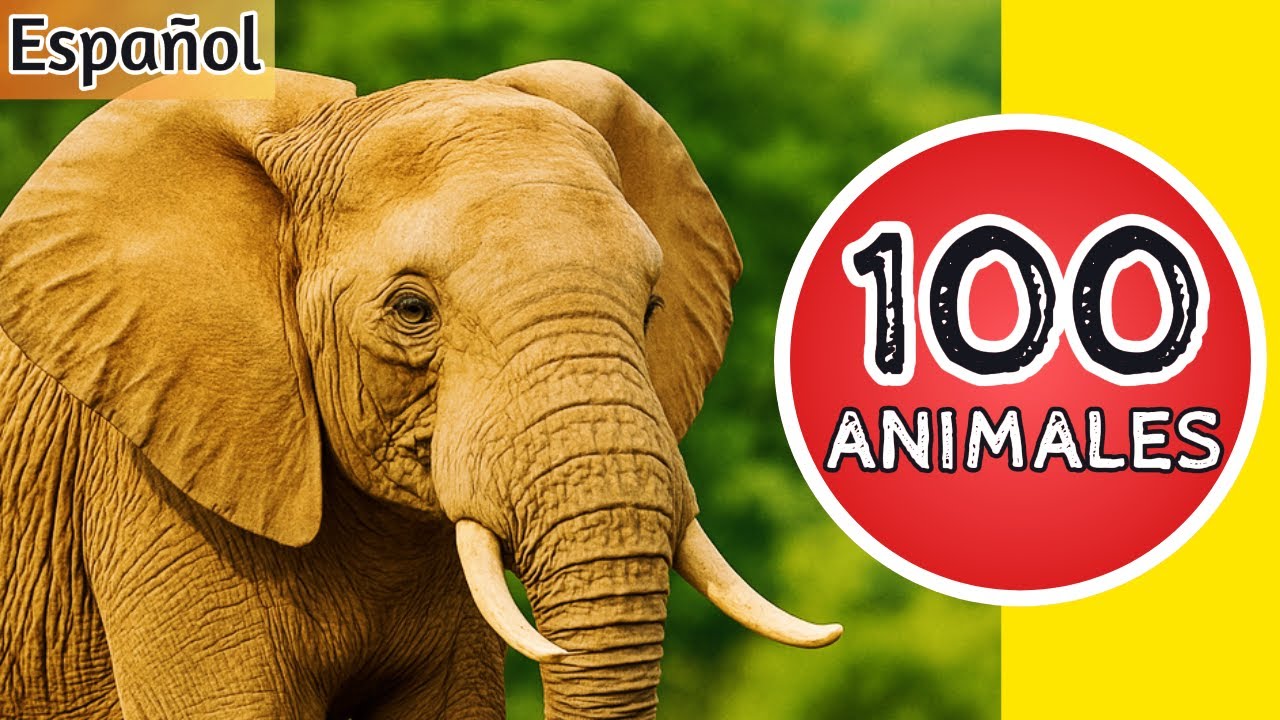 ¡Animales para niños! Nombres y sonidos de todos los animales! 🐘