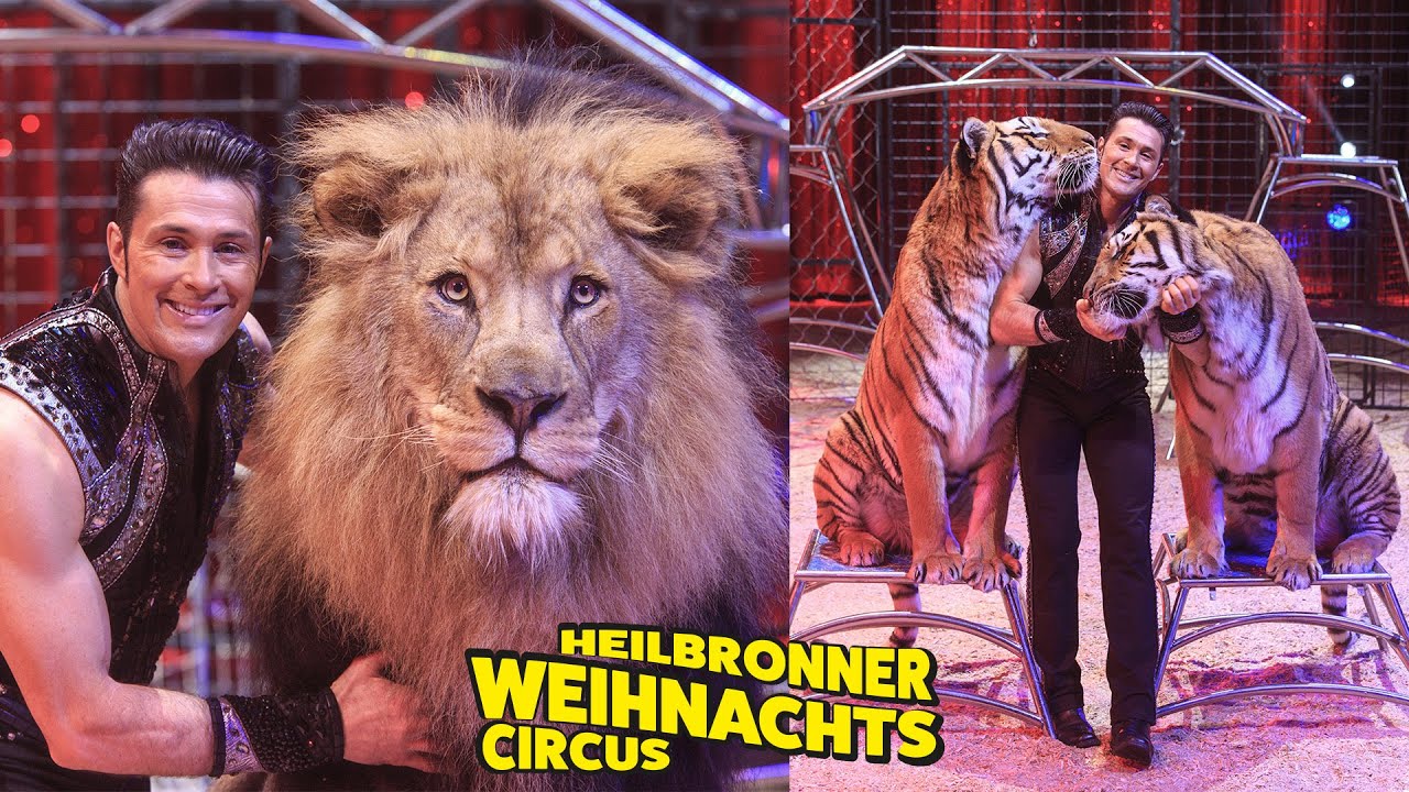 Heilbronner Weihnachtscircus 2017   ||   Event-Trailer