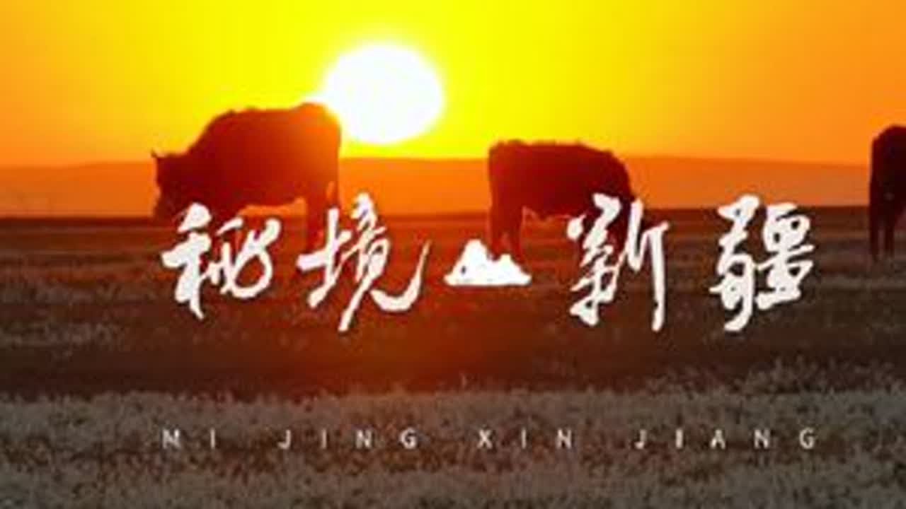 巴音沟牧场的砂引草开花了！#航拍新疆 #秘境新疆 #巴音沟牧场 #下个月的新疆直接封神 #治愈系风景