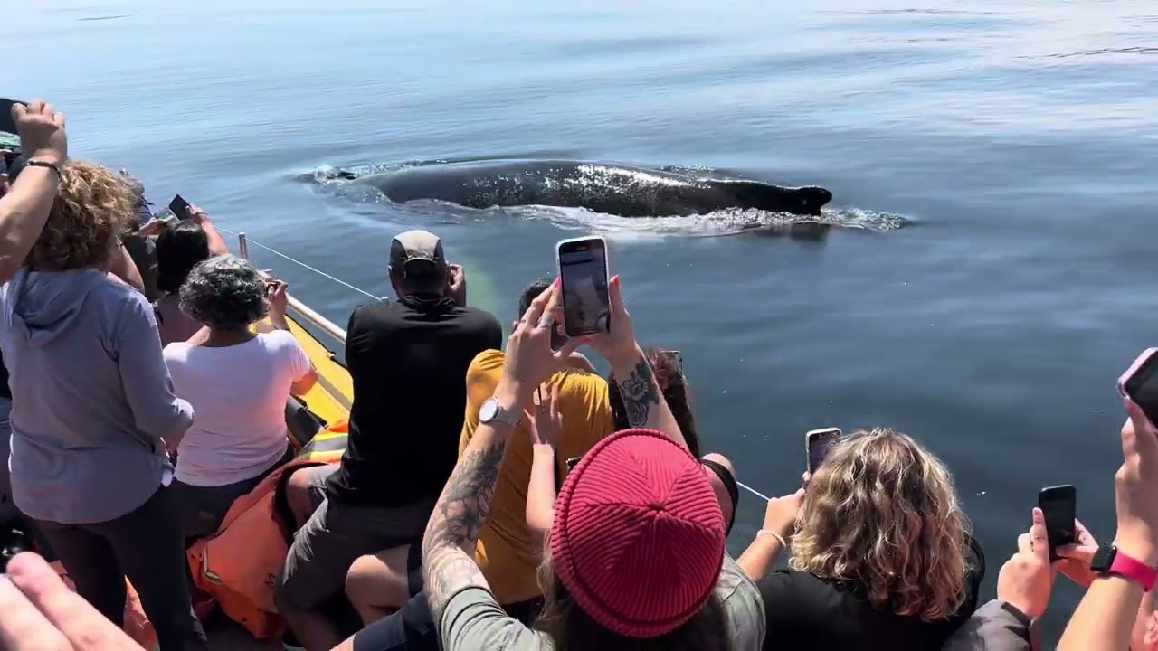 Croisière Escoumins à travers mes yeux