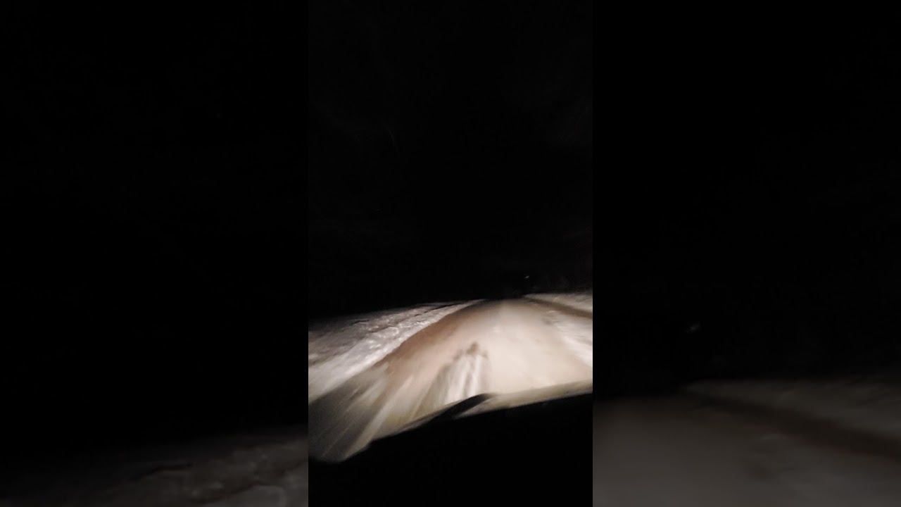 The drones follow me every night I'd like to know why