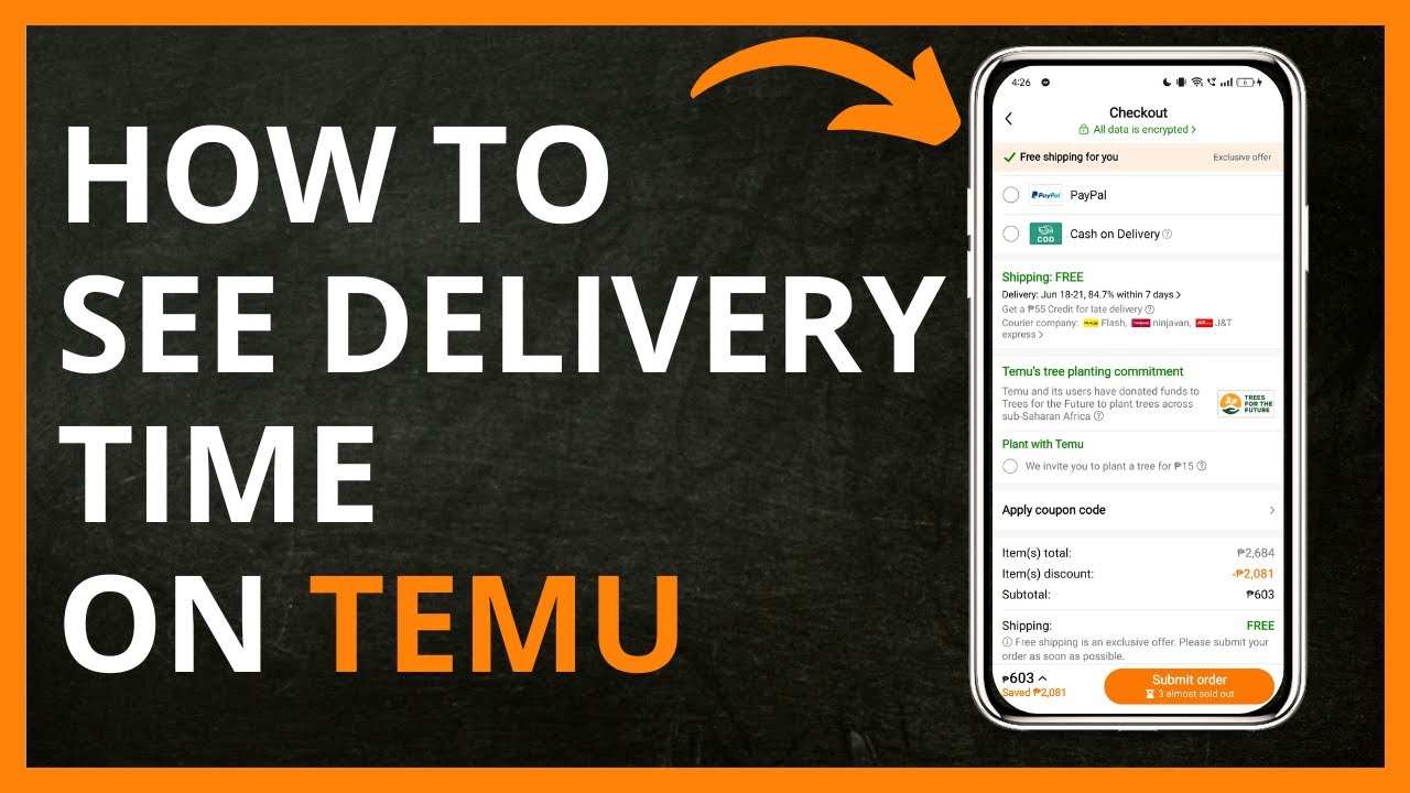 How To See Delivery Time on Temu in 2024