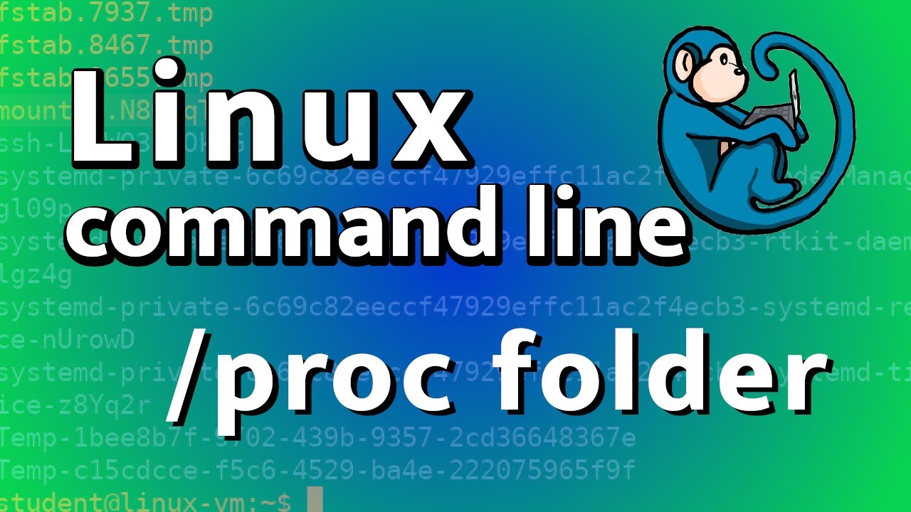 The /proc directory - a look into the folder that contains all the running processes