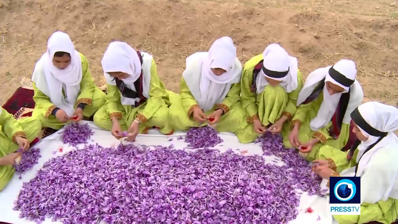 Iranian Journey from northeast to northwest