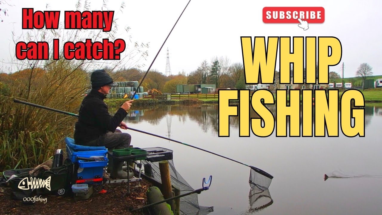 WHIP (Pole) Fishing | HOW MANY can I catch?