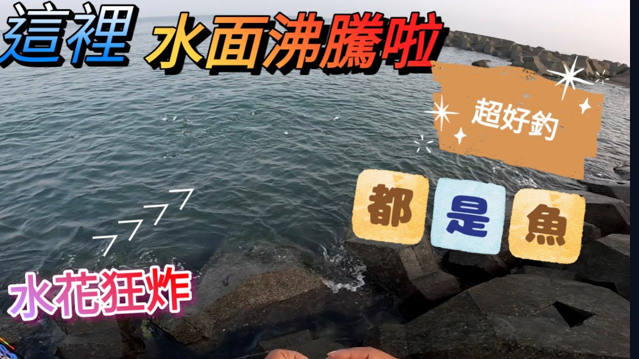 成千上萬魚群靠岸，釣組落水就來咬，隨便釣就有，新手練習釣魚的好機會