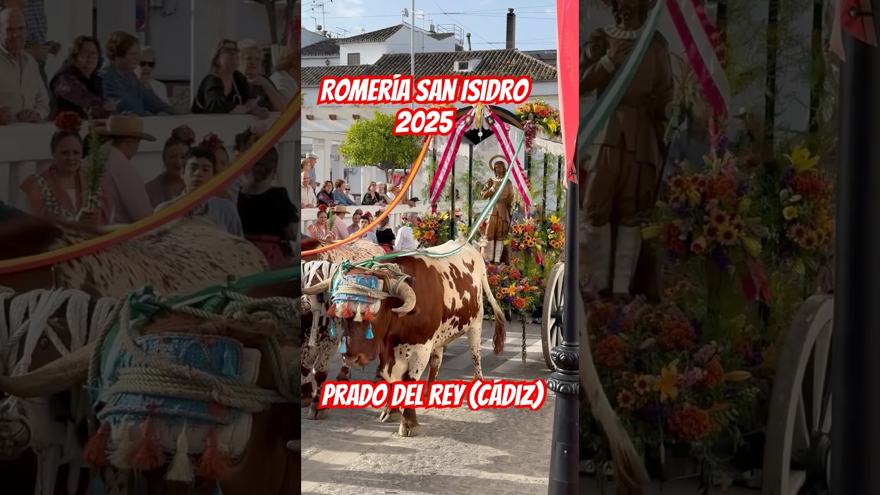 Romer&iacute;a San Isidro en Prado del Rey 2025 🐴🌾💐🌻