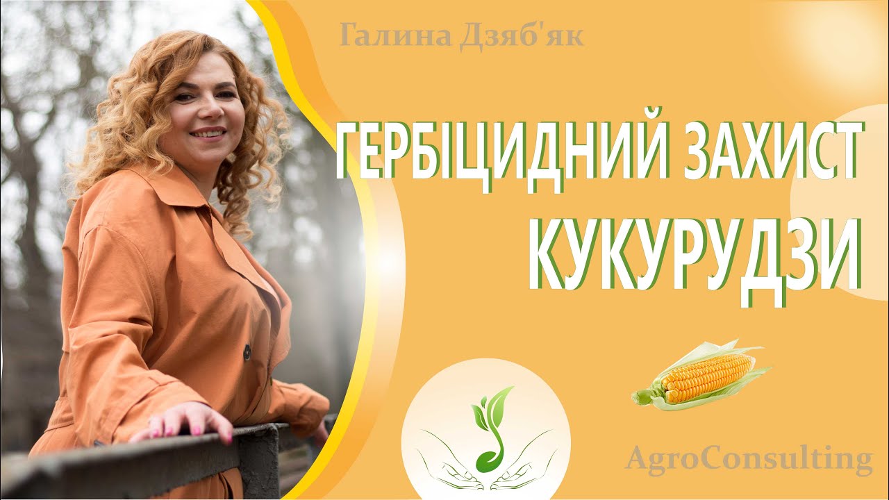 Технологія вирощування кукурудзи: гербіцидний захист