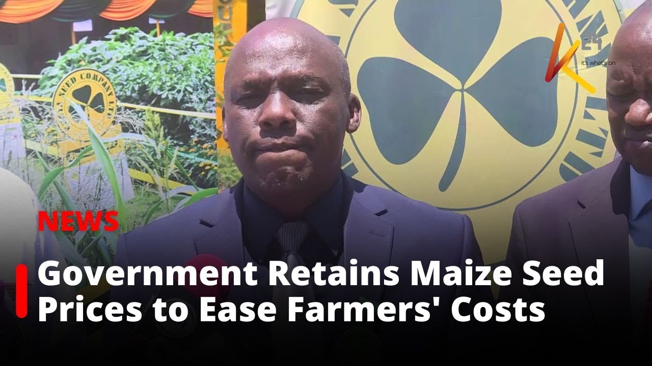 Gov&rsquo;t Retains Maize Seed Prices Ahead of Planting Season.