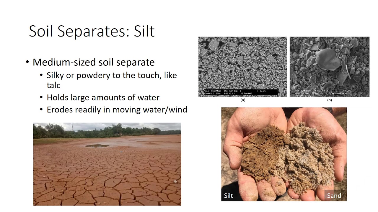 Soil Texture
