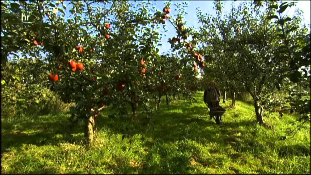 Das Alte Land (1/3)