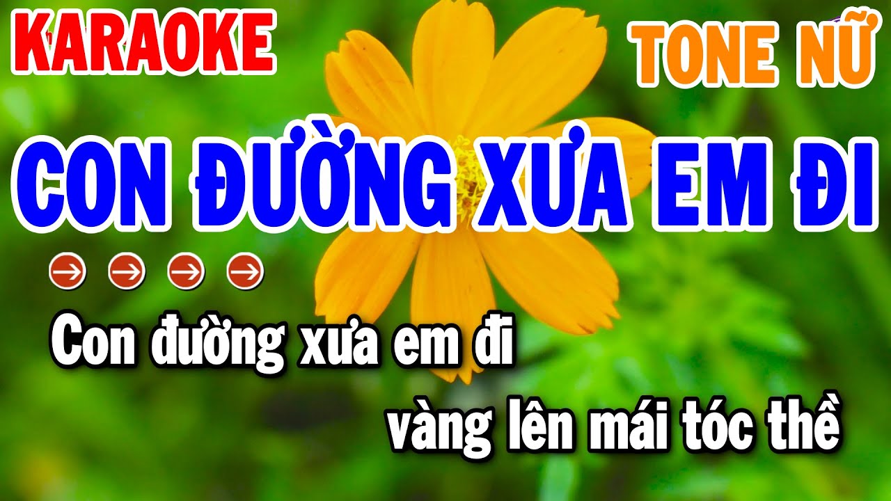 Con Đường Xưa Em Đi Karaoke Tone Nữ ( F#m ) Nhạc Sống Chuẩn 2025 | Thanh Hải Organ