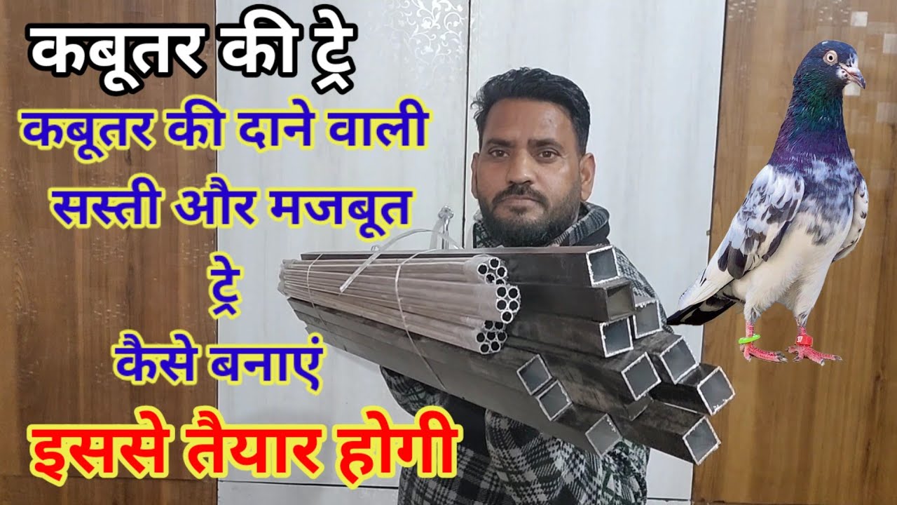 Kabutar ki Dane wali Sasti or Majbut Tre kese Banaye,Part,,1