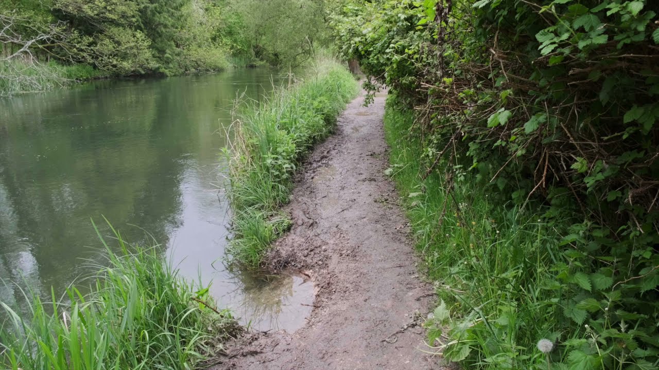 Neglect of the River Itchen Path at Bishopstoke