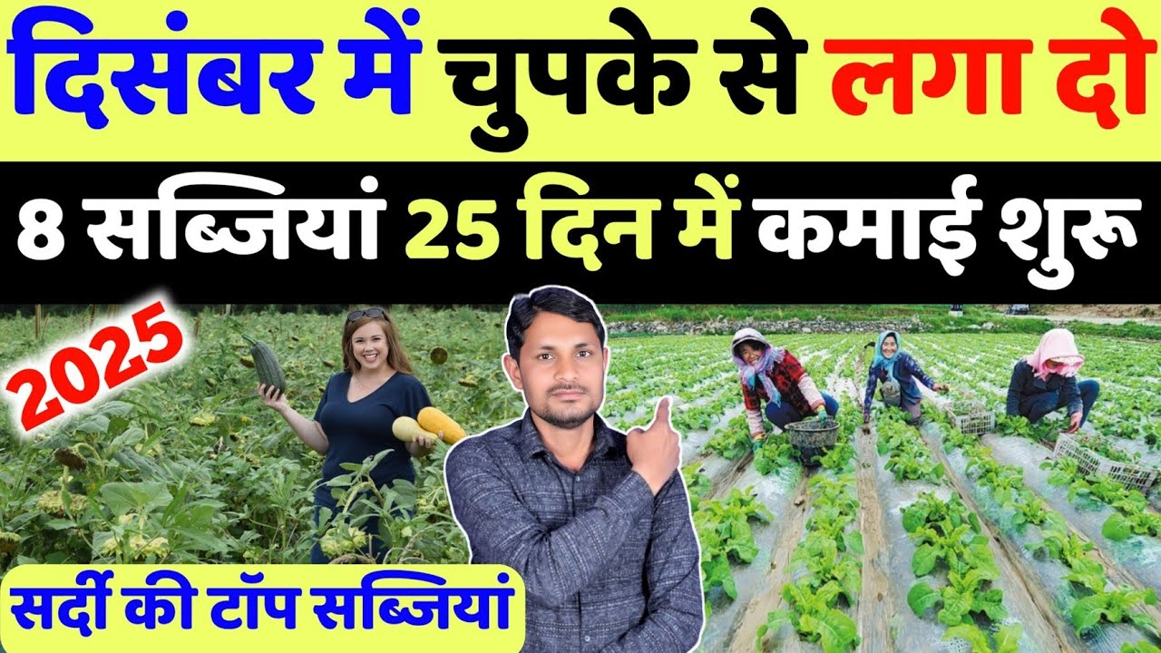 दिसंबर मे लगा दो सबसे बेस्ट 8 सब्जियां | december me konsi sabji lagaye | december me sabji ki kheti