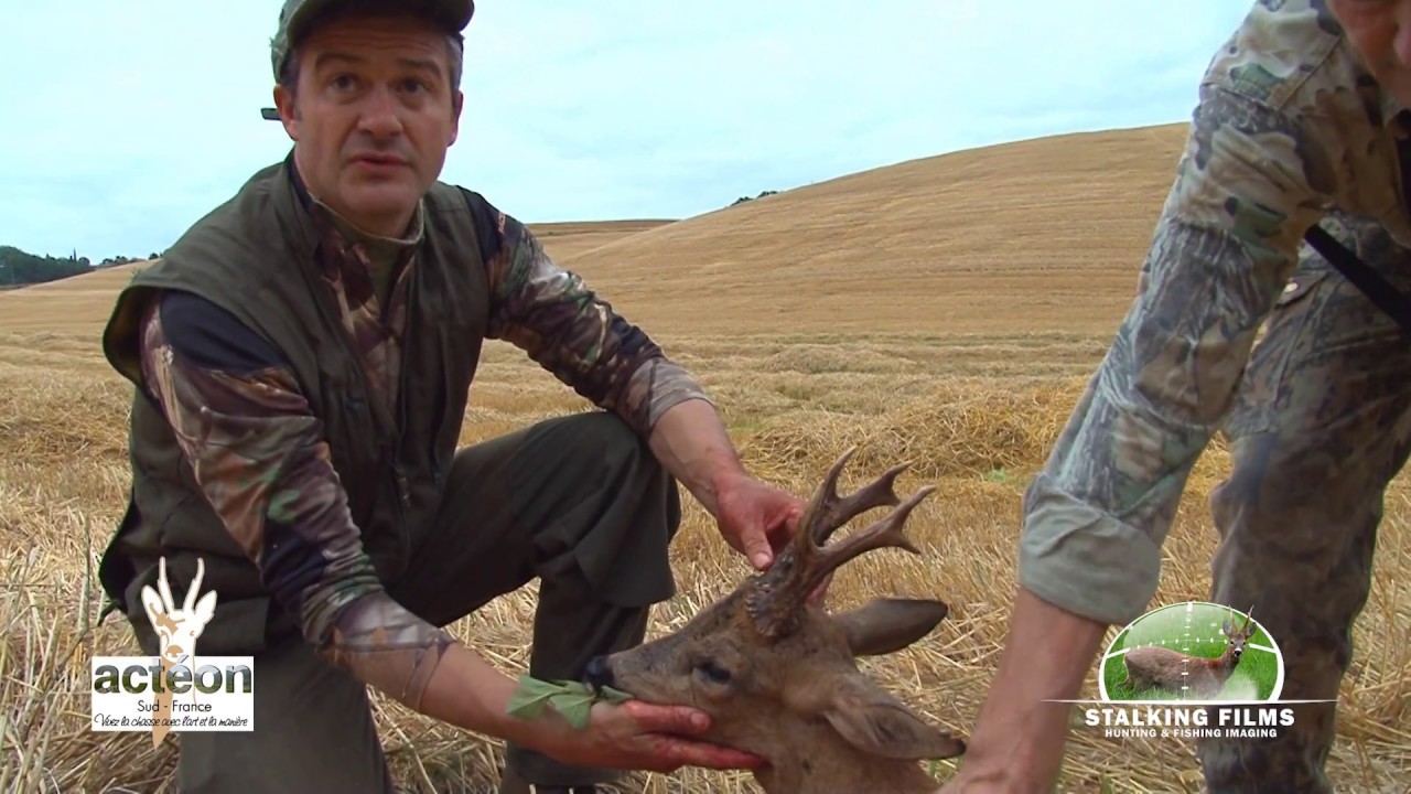 Chasse &agrave; l'approche du brocard (38)