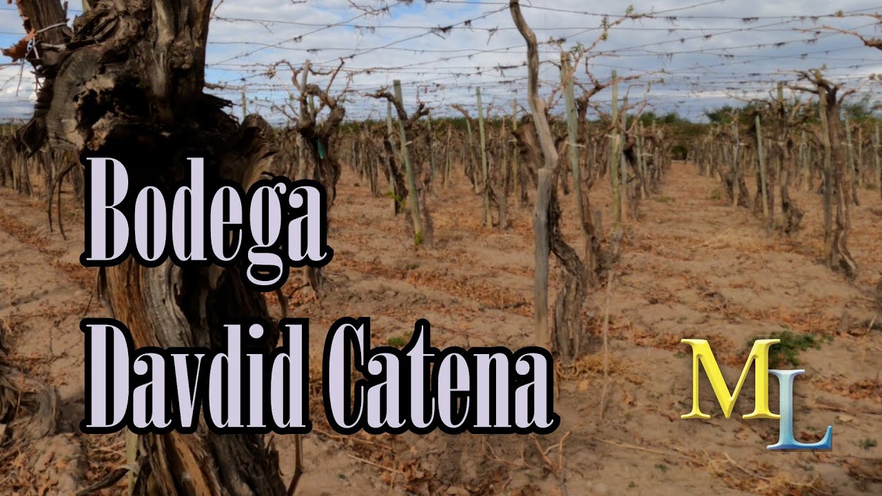 Finca y Bodega de David Catena - Mendoza, Argentina