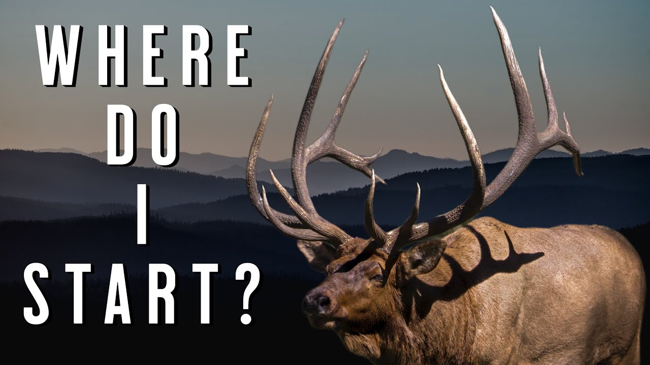Elk Hunting - Where to Start? A Beginner&rsquo;s Complete Guide