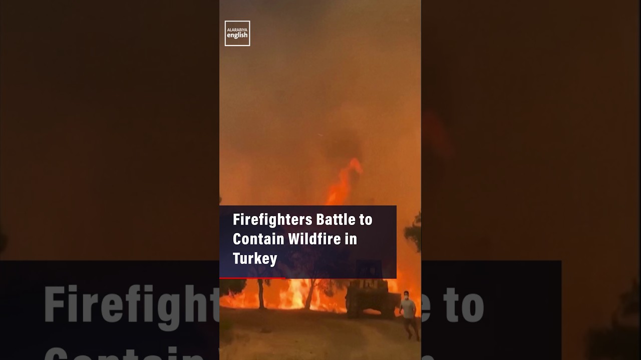 Firefighters Battle to Contain Wildfire in Turkey