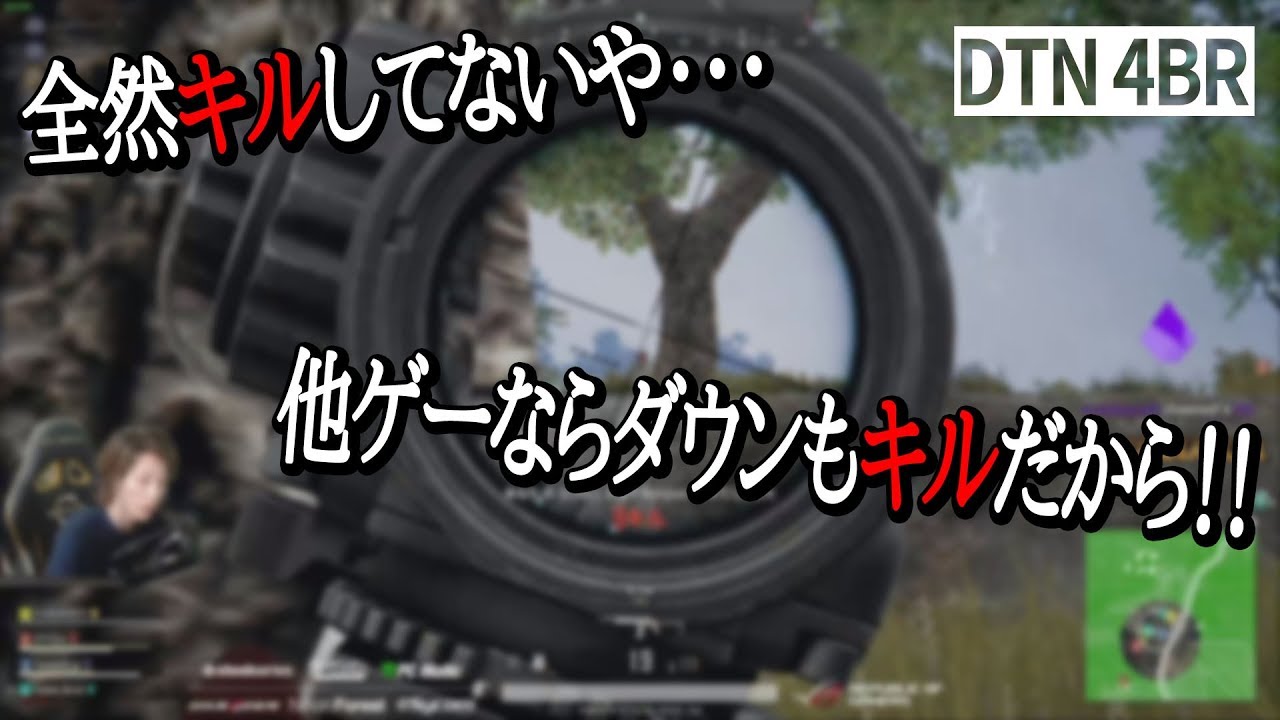 DTN4BR 他ゲーならダウンもkill！？ドン勝 10kill SCAR-L+Mini14