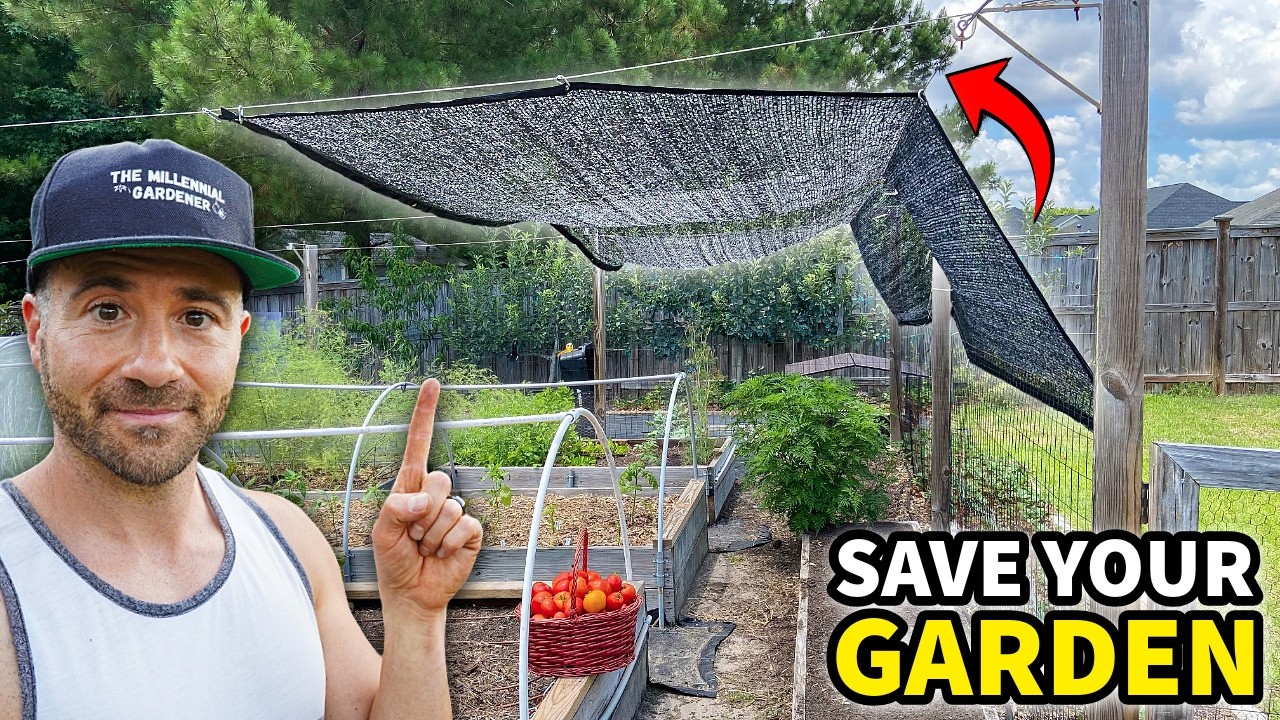 HEAT WAVE Survival Guide: Save Your Garden NOW, or You&rsquo;ll Be Sorry!