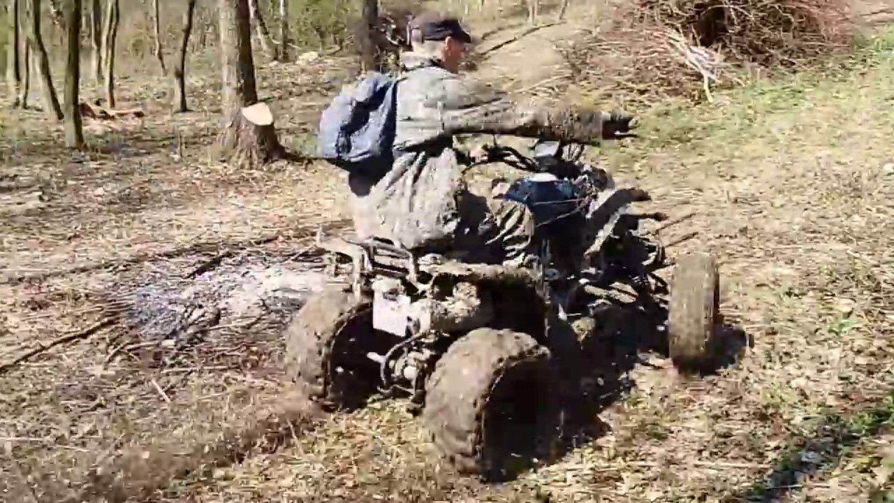 Bashan 250