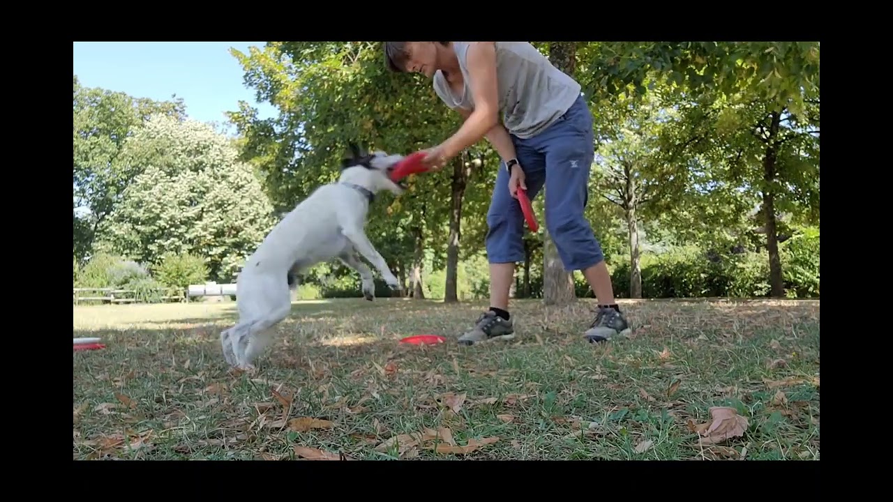 entraînement type de frisbee