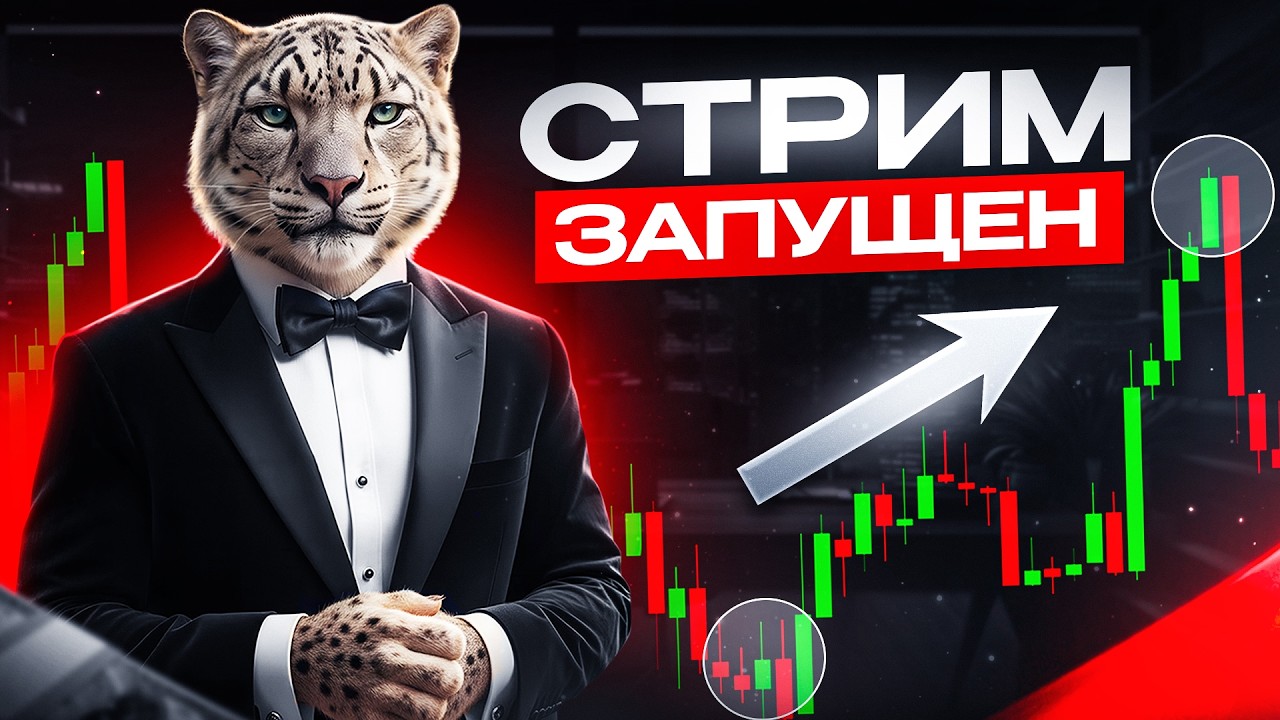 Топ Трейдер: торгуем на минутках и забираем свое!