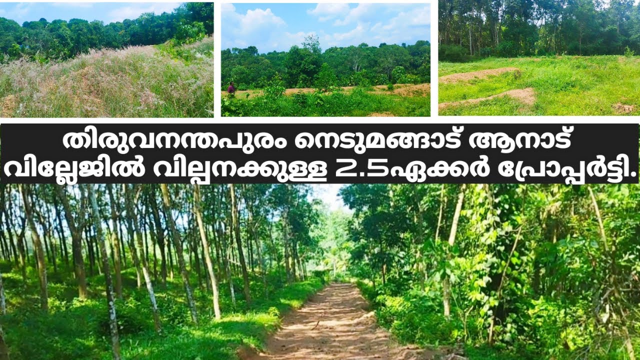 Land for sale@/in Trivandrum,Nedumangadu_2.5acer_only 22km from Trivandrum central_5km to Nedumangad