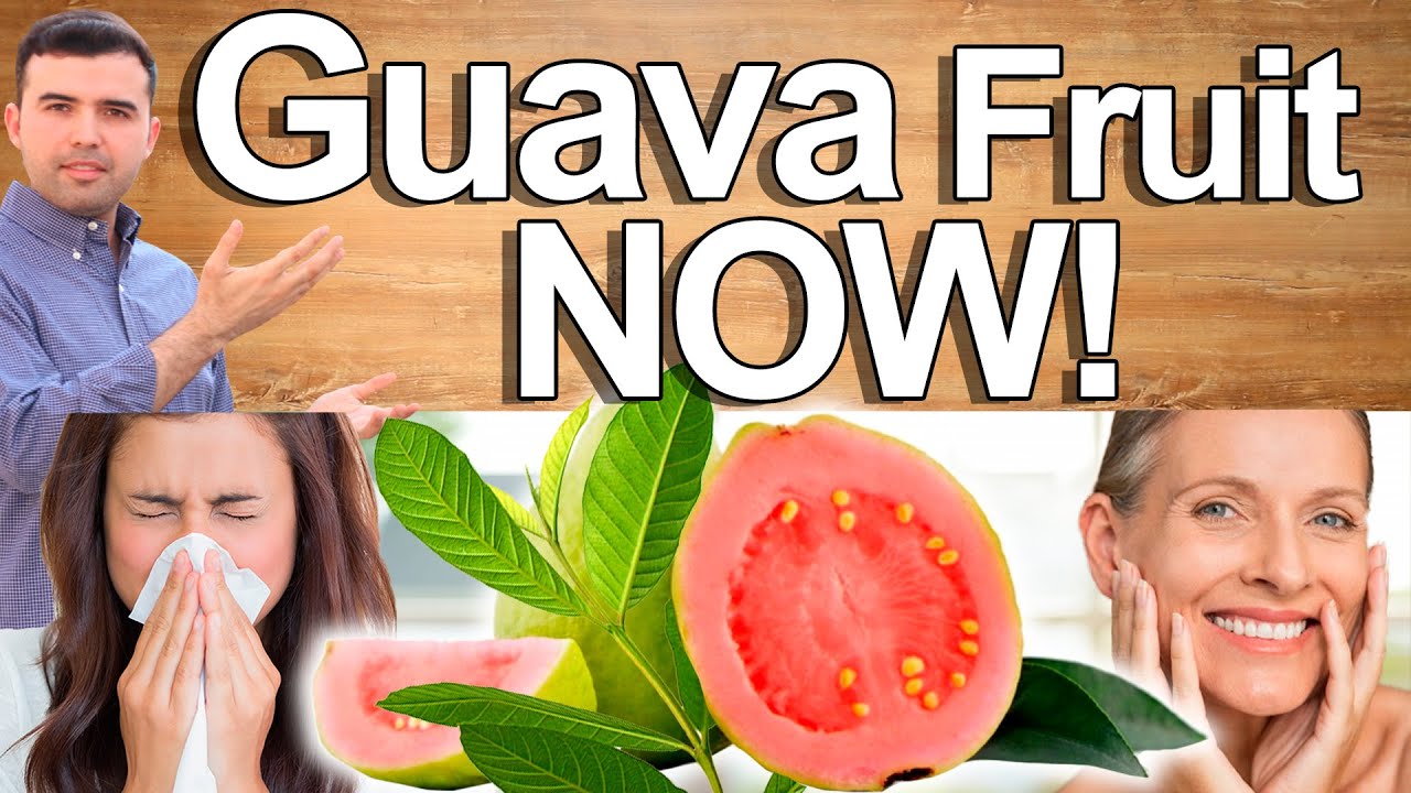 GUAVA NOW - Guava Fruit and Leaves Health Benefits and Contraindications