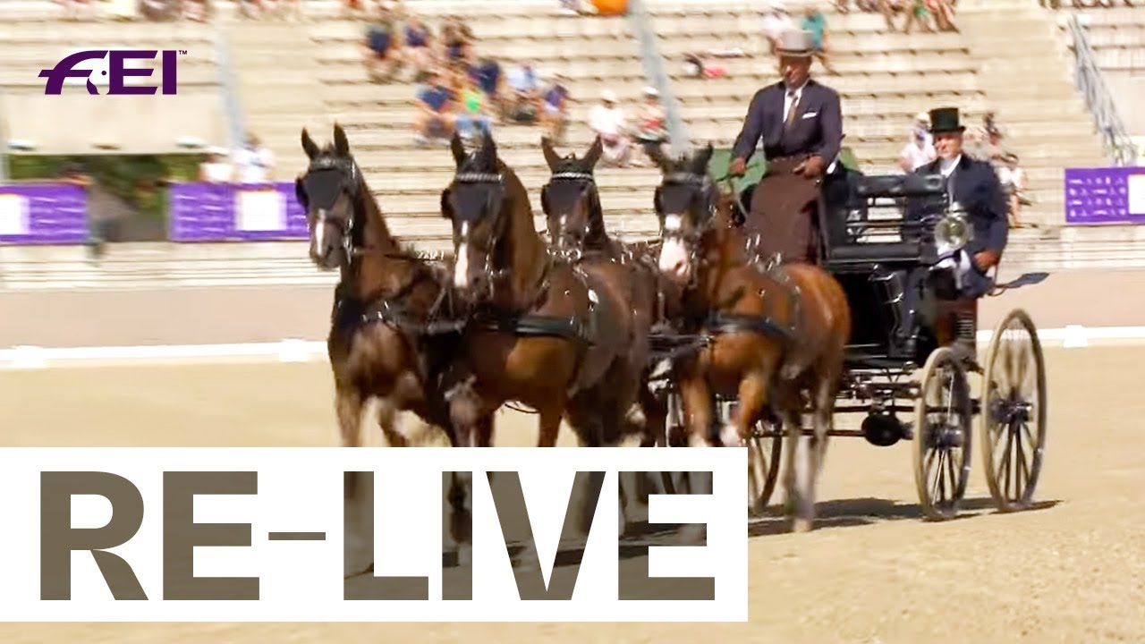 Re-Live | Dressage Day 1 - FEI Driving World Championship Four in Hand
