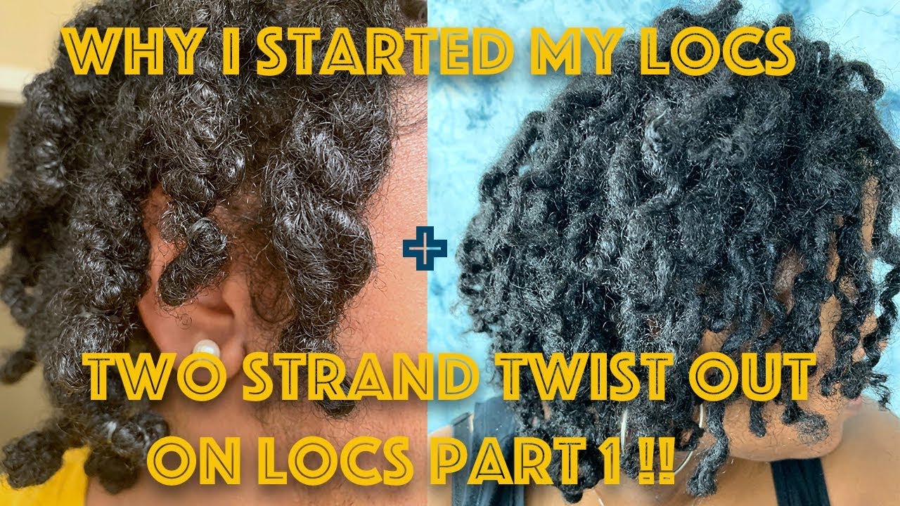 Why I Started My Locs + Two Strand Twist Out on Locs | NO RETWIST Part 1!!!